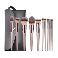 Makeup Brushes - 10 Piece Make-up Brush Set with Bag Photo