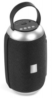 Swiss Cougar Chicago Bluetooth Speaker & Fm Radio Photo