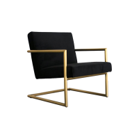 Bespoke & Co Velvet Gold Jack Chair - Black Photo