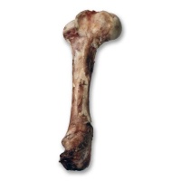 Raziel Half Lion Bone - Beef 900g Photo