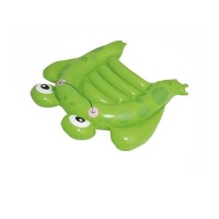 Pool Lilo Inflatable Frog Photo