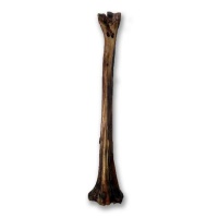 Mbuni Mini Cave Man Bone 500g Photo