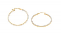 9ct/925 Gold Fusion Ladies Round Hoop Earrings Photo