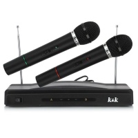 Professional Karaoke Dual Wireless Handheld Microphone System Photo