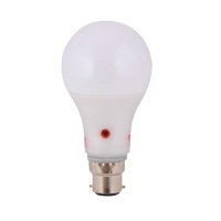 Eurolux G964 LED Globe with Day/Night Sensor B22 10W Cool White Photo