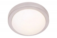 Silver Base Ceiling Fitting with White Glass Photo