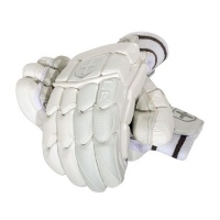 Focus - Limited Batting Gloves - Mens LH Photo