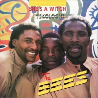 The Bees - She's A Witch - Tikoloshe Photo