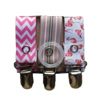 Flamingoes Pink Stripes & Pink Chevron Pacifier Dummy Ribbon Set Photo