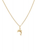9ct/925 Gold Fusion Dolphin Pendant on Chain. Photo