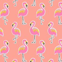 Gift Wrapping Paper 5m Roll - Flamingo On Coral Photo