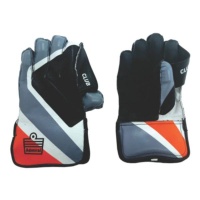 Admiral Cricket Club Wicket Keeper Gloves - Youth Photo