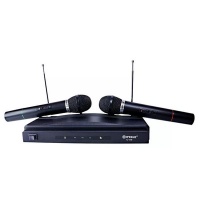 JRY Two Channels FM Wireless Microphone & Receiver System Photo