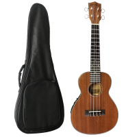 Gotsch Wood Finish Concert Size Ukulele with Pickup Photo