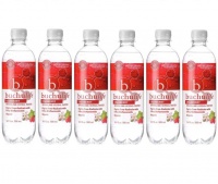 Buchulife Sparkling Herbal Water Cranberry - 6 Pack Photo