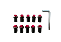 Rotracc Red Motorcycle Screen Bolts Photo