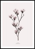 Boluo Framed Nordic Canvas Print Ready To Hang - Every Flower Blooms Photo