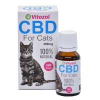 CBD Daily Oil for Cats Photo