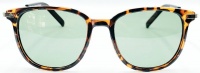 Ocean Eyewear Polarised Fashion Sunnies - Brown Photo
