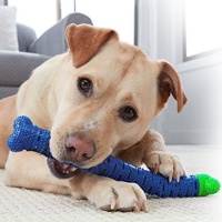 Chewbrush - Self-brushing toothbrush for dogs Photo