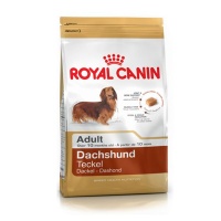 Royal Canin Dachshund Adult Photo