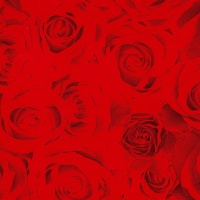 Gift Wrapping Paper 5m Roll - Red Roses Photo