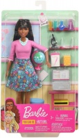 Barbie Teacher Doll - Black Hair Photo