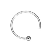 9ct White Gold Nose Ring Photo