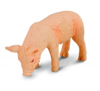 Collecta Farmlife-Piglet Eating - S Photo