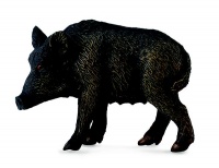 Collecta Woodlands-Wild Sow - M Photo