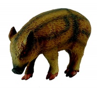 Collecta Woodlands-Wild Piglet - Eating - S Photo