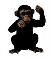 Collecta Wildlife-Chimpanzee Cub - Thinking - S Photo