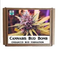 Seedleme Cannabis Bud Bomb is a premium formula to explode flower growth Photo