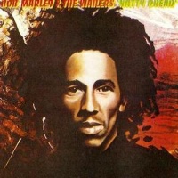 Tuff Gong Bob Marley & The Wailers - Natty Dread Photo