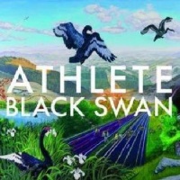 Universal IntL Athlete - Black Swan Photo
