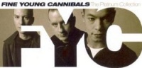 Rhino Fine Young Cannibals - Platinum Collection Photo