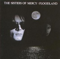 Imports Sisters of Mercy - Foodland Photo