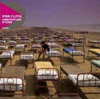 Pink Floyd - A Momentary Lapse of Reason Photo