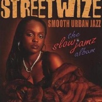 Shanachie Streetwize - Slow Jamz Album Photo
