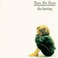 Mercury Tears For Fears - Hurting Photo