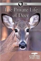 Nature: Private Life of Deer Photo