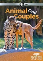 Nature: Animal Odd Couples Photo