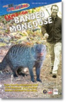 Be The Creature Season 2 - Expedition Branded Mongoose Photo