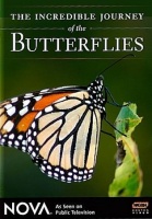 Nova: Incredible Journey of the Butterflies Photo