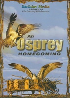 Osprey Homecoming Photo