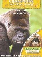 Champions Of The Wild - Gorillas /Orangutans Photo