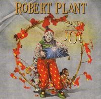DECCAROUNDER Robert Plant - Band of Joy Photo