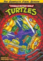 Teenage Mutant Ninja Turtles Season 10: Complete Photo