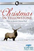 Nature: Christmas In Yellowstone Photo