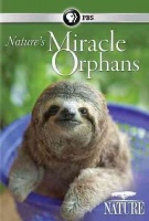 Nature: Nature's Miracle Orphans Photo